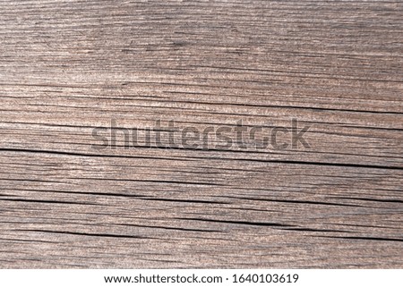 Dark wooden background texture. Old fence panels with natural patterns.