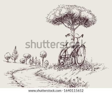 Park landscape sketch, an alley and a bike near a tree