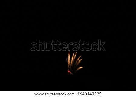 Fireworks at Winter Carnival 2020