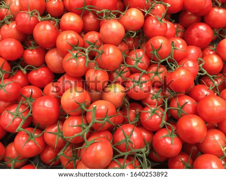 Tomatoes in the Vegetable Market. fresh red tomatoes with green branches