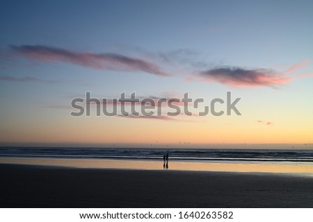 Pismo beach in California USA