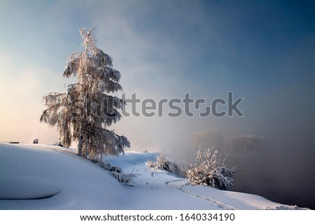 Winter snow forest lake water view. Winter nature sunset tree silhouette.  Dense fog over the river in winter. Sunrise in the thick winter fog.  