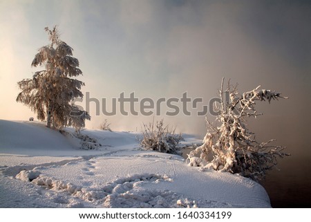 Winter snow forest lake water view. Winter nature sunset tree silhouette. Winter sunset tree snow patterns. Dense fog over the river in winter. 