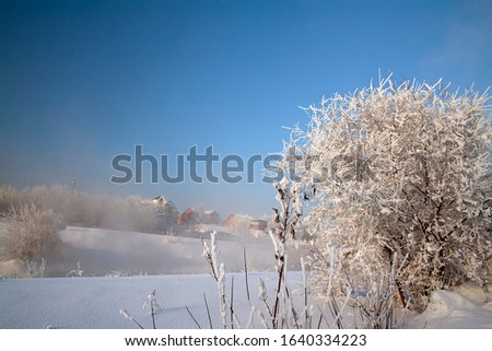 Winter sunset tree snow patterns. Dense fog over the river in winter. Sunrise in the thick winter fog. landscape Trees with snow in a park.