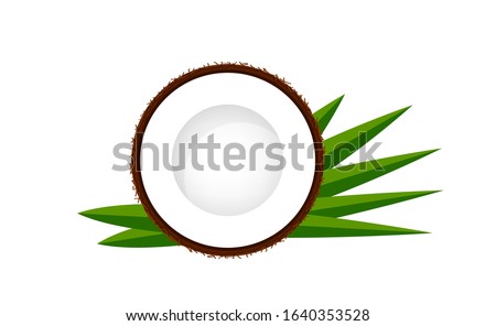 coconut half slice on leaf green, coconut brown fruit half cut isolated on white, illustration coconut half slice for clip art, coconut freshness fruit simple for icon