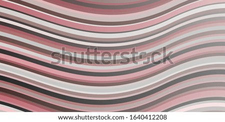 Light Pink, Red vector background with lines. Abstract illustration with gradient bows. Pattern for booklets, leaflets.