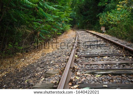 The rails of the railway go into the distance. Railway close-up, covered with autumn leaves
