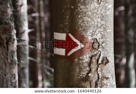 Red turistic route sign on a tree