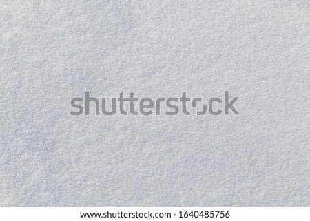 Snow on the frozen surface of the river, a natural background, Ob reservoir, Siberia 