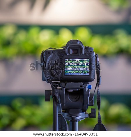Creative photo of camera taking photo of cafe interior with green plants on wall, blurred background