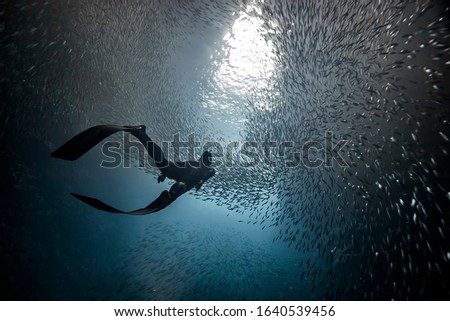 A woman freediver swim underwater with a very big school of fishes in blue pacific ocean. Kingdom of Tonga. Royalty-Free Stock Photo #1640539456