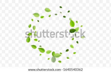 Swamp Leaf Vector Concept. Green Greens Fly Background. Tea Brochure. Forest Leaves Forest Border.