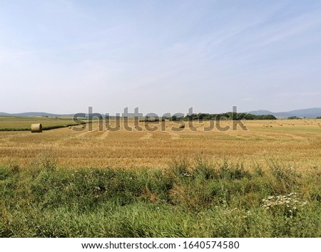 EuroTrip, Hayrolls in farmland, Czech respublic. Yellow color