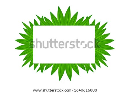White frame on green leaf nature