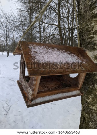 wet wooden birdhouse hung on a tree in the winter season
