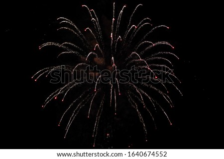 Beautiful new years firework celebration in black evening sky. Photo taken in Europe, Latvia.