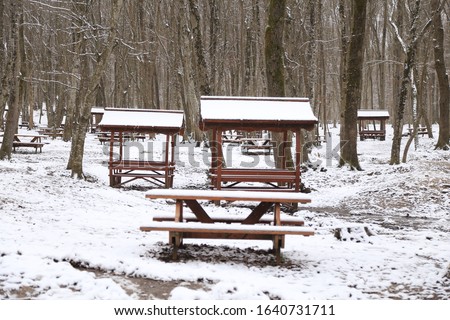 An outdoor winter photo of a wooden picnic table covered in freshly fallen snow. Winter forest covered with snow. New Year`s landscape. Fabulous trees in snowdrifts. Dramatic wintry scene. 