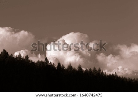Beautiful white clouds on the natural background of the blue sky. Toned.