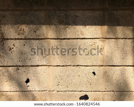 sunlight  on concrete wall background