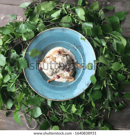 Atmospheric still life with summer lunch.Russian Vegetable soup with cabbage and mushrooms.sour cream and croutons.Dish with slices of homemade cheese.Photo on a wooden table decorated with birch 