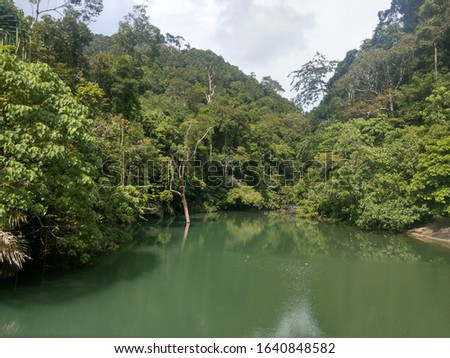 Thailand Koh Lanta Jungle Lake Khlong Chack