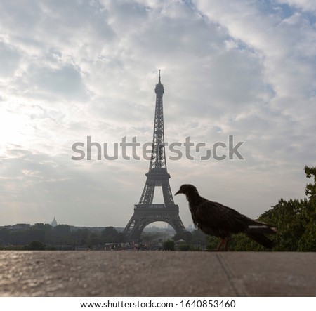 Different views of the Eiffel Tower in Paris on a beautiful summer day with blue sky in the background.
