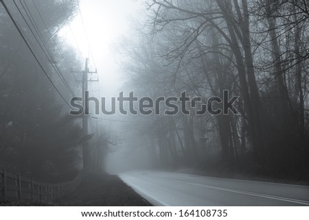 Asphalt road into forest in fog