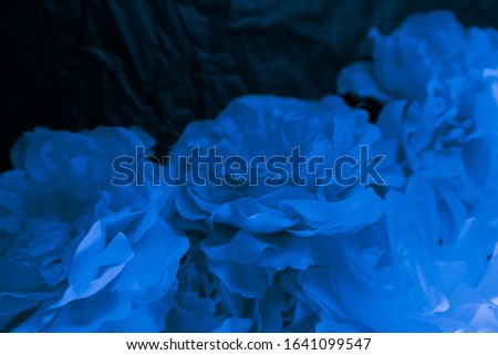 Beautiful abstract color purple and blue flowers on black background and purple graphic flower frame and pink leaves texture, blue background, colorful graphics banner happy valentine day