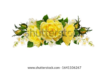 Twigs of Jasmine flowers and yellow roses in a floral arrangement isolated on white