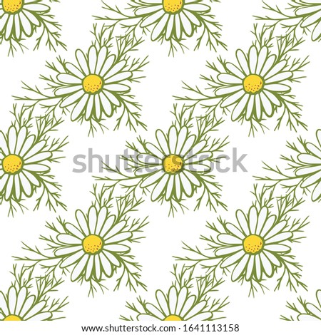 Background from medicinal chamomile. Healing flowers. Seamless pattern with floral romantic elements. Endless texture for summer design season. For fabric, wallpaper, postcards.