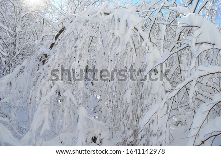 Beautiful winter landscape.Trees covered with hoarfrost and snow in mountains