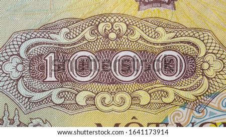Currency (paper money) detail. Bright design element of money bill. Paper texture.
