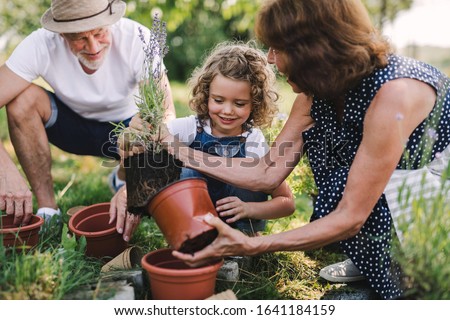 Senior grandparents and granddaughter gardening in the backyard garden. Royalty-Free Stock Photo #1641184159