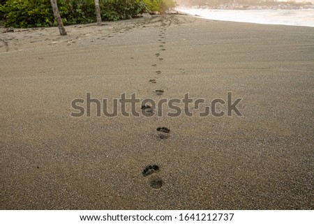 Footprints on a tropical Caribbean beach