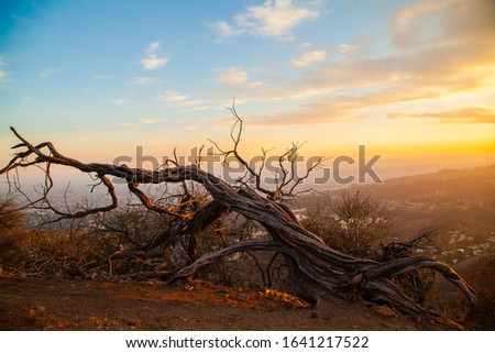 A beautiful sunset in Griffith Park California.