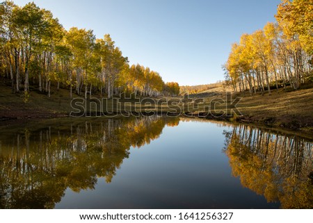 Fall trees pond with reflection, autumn