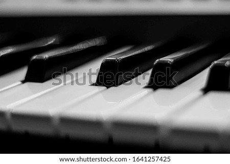 black and white keys on the piano