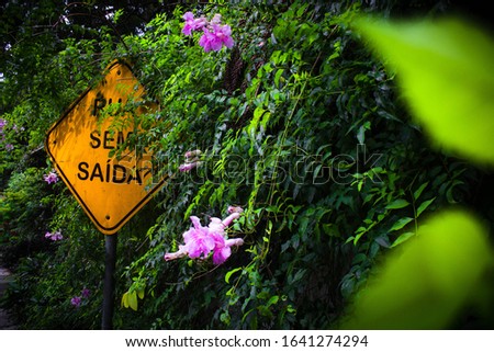 Yellow dead end street sign with wall full of green vines and pink orchids.