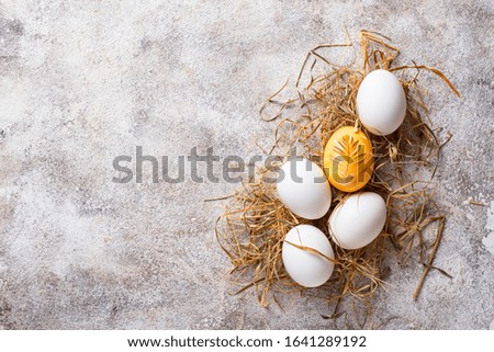Easter chicken golden egg and white no painted eggs