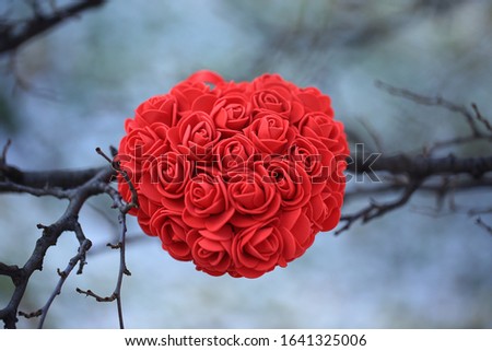 Red heart from roses hanging on tree branch close-up. Symbol of love, romance, relationship. Winter decorations 14 February. Copy space. Selective focus. Festive concept Valentines Day or love event.
