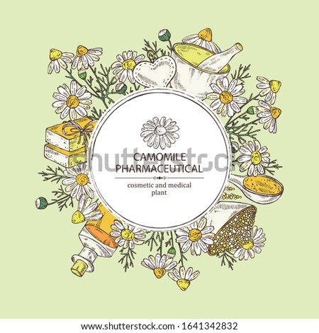 Background with camomile: leaves, seeds, flowers, essential oil, soap and bath salt . Cosmetic, perfumery and medical plant. Vector hand drawn illustration. 