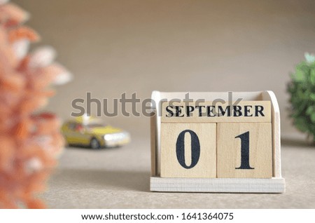 September 1, Date design in natural concept.