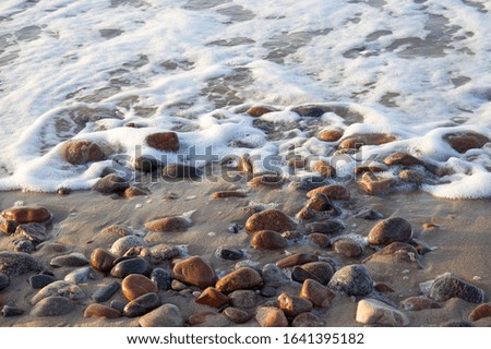 Natural Landscape. Wave foam covering orange stone on Baltic Beach Curonian Spit