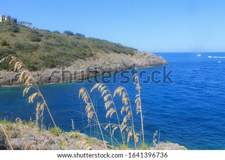 View of Tirrenic sea with rocks and vegetation. Copy space. Monte Argentario, Tuscany, Italy