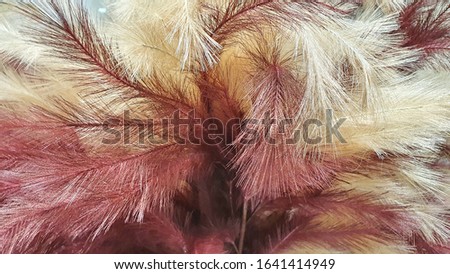Close-up of white and brown artificial hair that is as soft as real fur. Used for decoration of places or bodies.