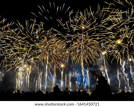 Crowd watching Variety colorful firework. Salute with yellow and gold flashes, on the night sky background.
