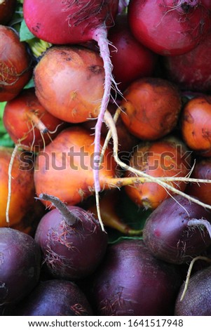 Freshly harvested red, orange and purple beets piled up at farmer’s market Royalty-Free Stock Photo #1641517948