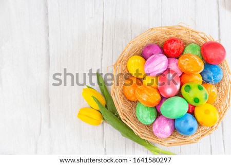 Beautiful group Easter eggs in the spring of easter day, red eggs, blue, purple and yellow in Wooden basket with tulips on the  wood table background
