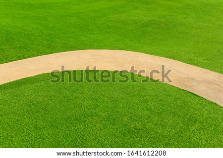 Green grass field background texture with walking way
