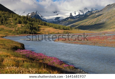 Picturesque mountain valley. River, flowers on the shore. Snow-capped mountain peaks in the clouds. Summer rest.